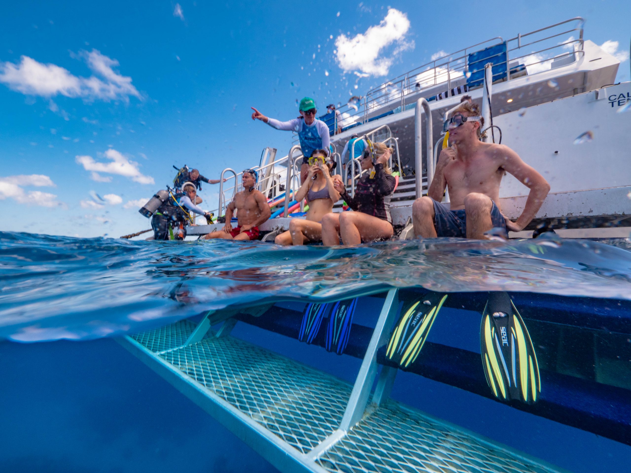 calypso reef cruises discount code