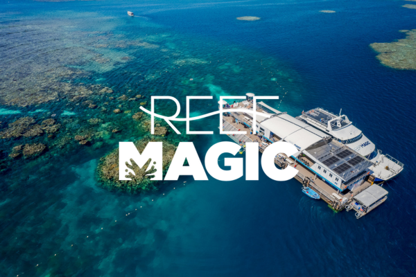 Reef Magic Pontoon Hero